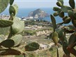 Itýálie - Ischia - opunciové ploty jsou ve vnitrozemí časté
