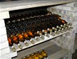Termální lázně - Maďarsko - Tokaj - lahve proslulého tokajského, vína které stojí za ochutnání