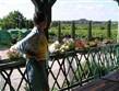 Termální lázně - Maďarsko, Villány, vinice