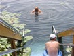 Maďarsko - termální lázně Hévíz - voda v jezeru má kubaturu asi 127.000 m3 a vymění se kompletně každých 3 a půl dne