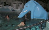 lázně Orosháza - Maďarsko, Oroshazy, bazén s modrým slonem