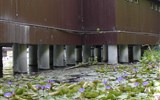 Termální lázně a wellness - Hévíz - Maďarsko - termální lázně Hévíz - mírně radioaktivní voda obsahuje síru, alkálie, hydrogenuhličitany, a zejména soli vápníku